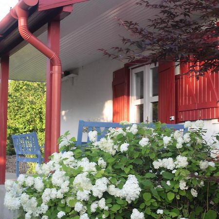 Nagymajor Birding Lodge Tiszacsege Luaran gambar