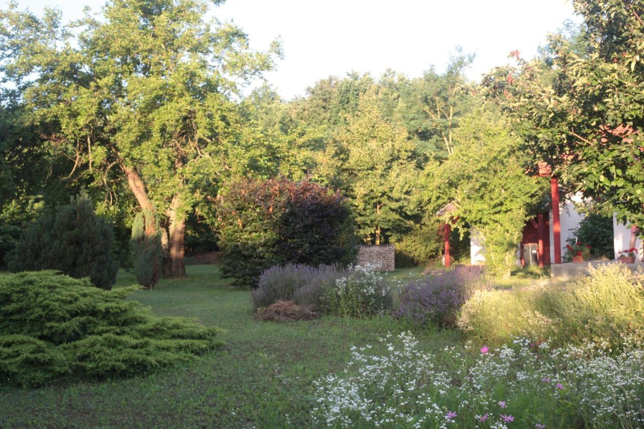 Nagymajor Birding Lodge Tiszacsege Luaran gambar